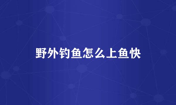 野外钓鱼怎么上鱼快