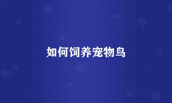 如何饲养宠物鸟
