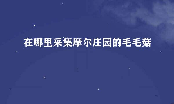 在哪里采集摩尔庄园的毛毛菇