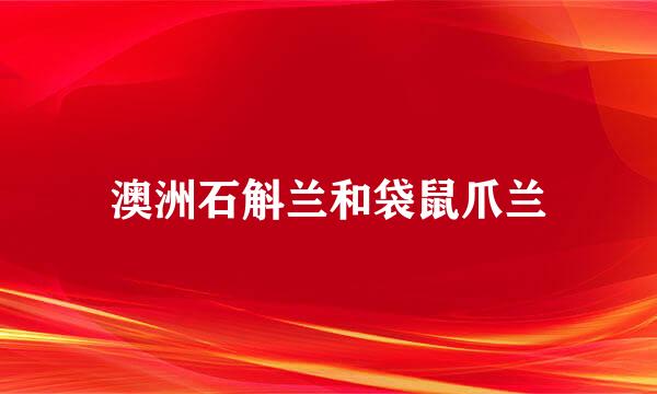 澳洲石斛兰和袋鼠爪兰