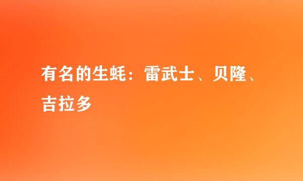 有名的生蚝：雷武士、贝隆、吉拉多