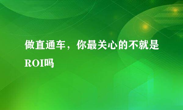 做直通车，你最关心的不就是ROI吗