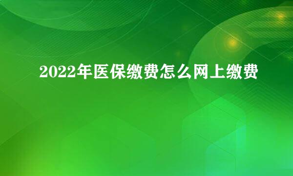 2022年医保缴费怎么网上缴费