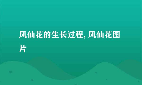 凤仙花的生长过程, 凤仙花图片