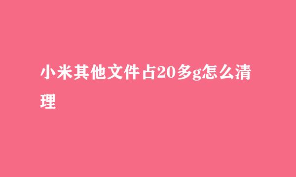 小米其他文件占20多g怎么清理