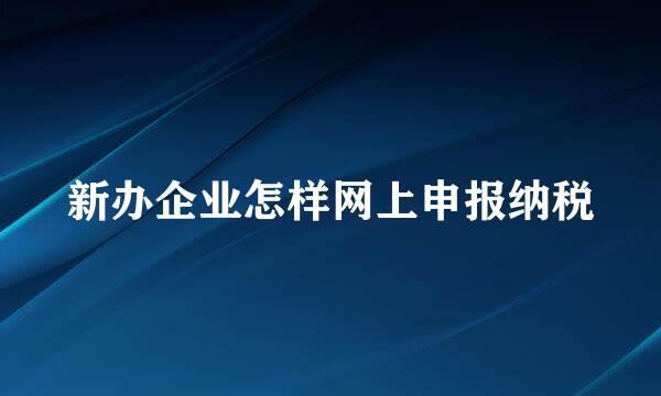 新办企业怎样网上申报纳税