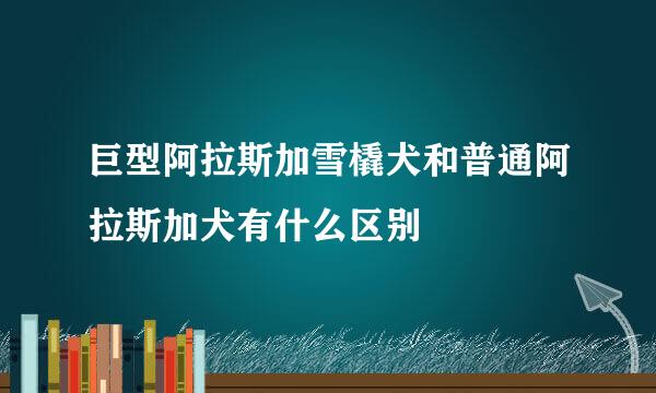 巨型阿拉斯加雪橇犬和普通阿拉斯加犬有什么区别