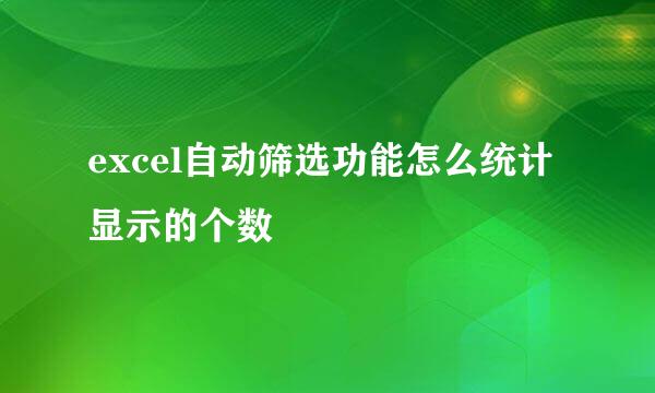 excel自动筛选功能怎么统计显示的个数