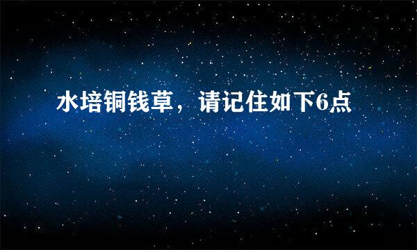水培铜钱草，请记住如下6点