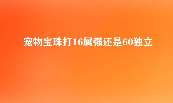 宠物宝珠打16属强还是60独立