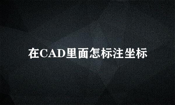 在CAD里面怎标注坐标