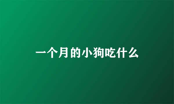 一个月的小狗吃什么