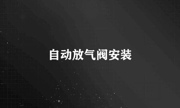 自动放气阀安装