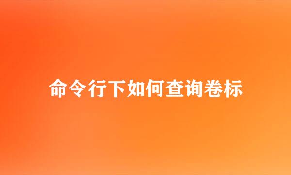 命令行下如何查询卷标