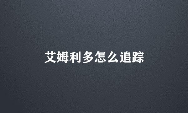 艾姆利多怎么追踪