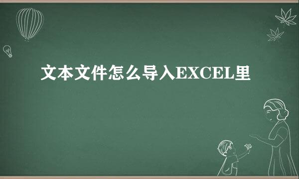 文本文件怎么导入EXCEL里