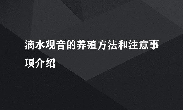 滴水观音的养殖方法和注意事项介绍
