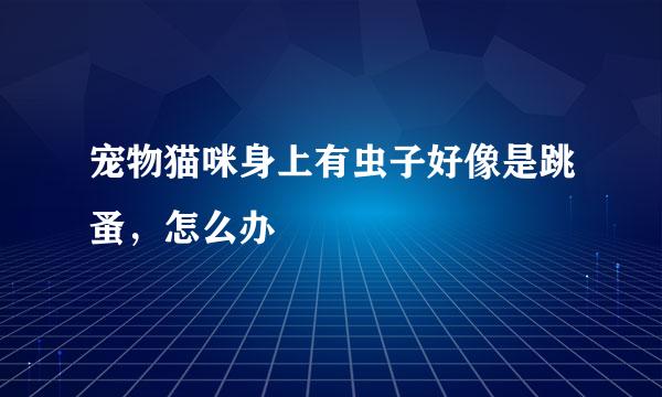 宠物猫咪身上有虫子好像是跳蚤，怎么办