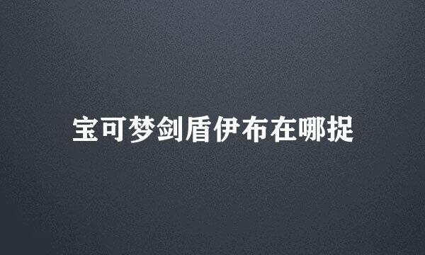宝可梦剑盾伊布在哪捉