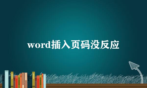 word插入页码没反应