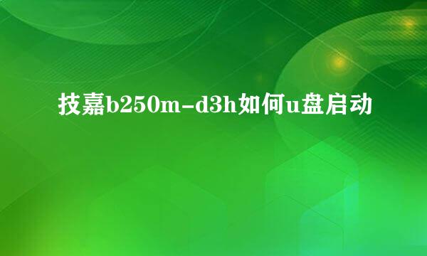 技嘉b250m-d3h如何u盘启动