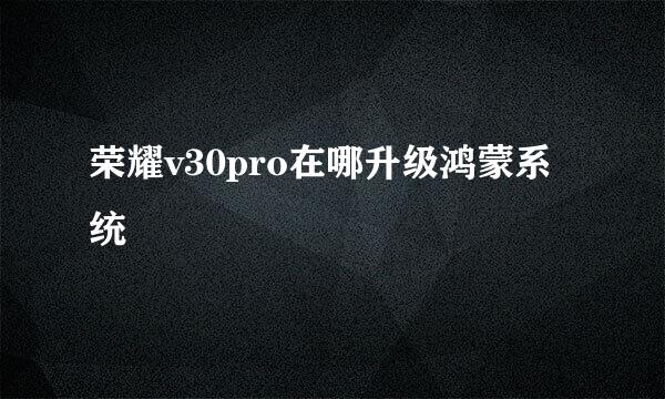 荣耀v30pro在哪升级鸿蒙系统