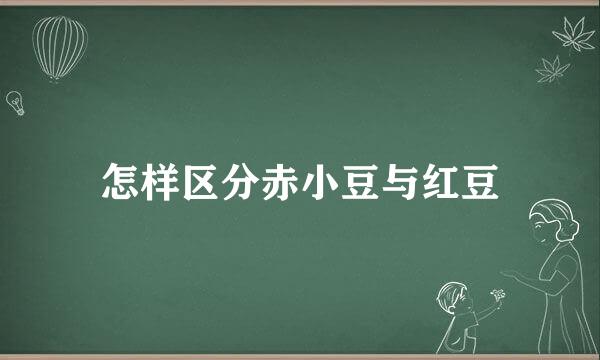 怎样区分赤小豆与红豆