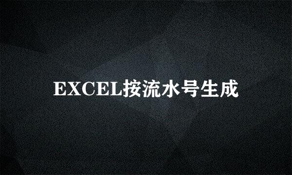 EXCEL按流水号生成