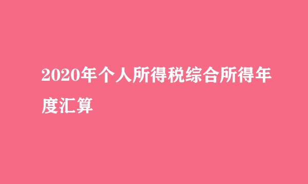 2020年个人所得税综合所得年度汇算