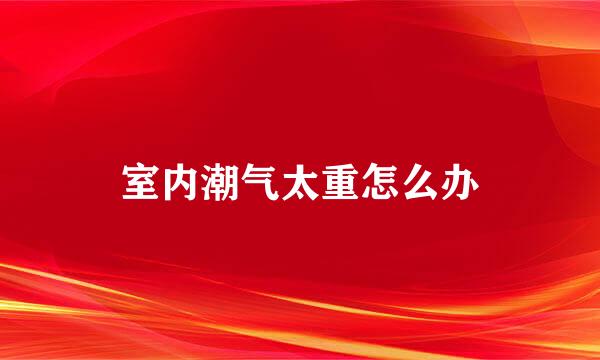室内潮气太重怎么办