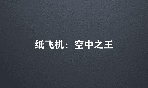 纸飞机：空中之王
