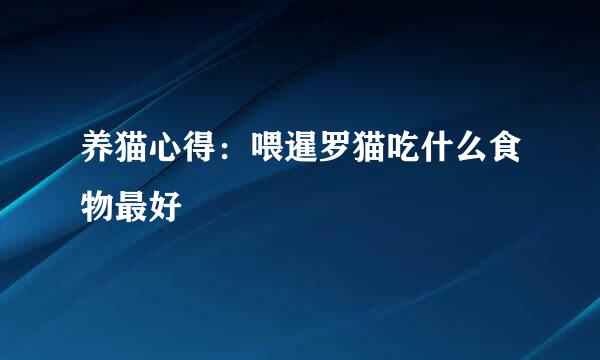 养猫心得：喂暹罗猫吃什么食物最好