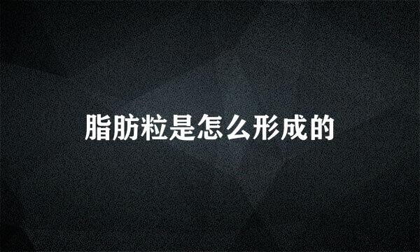 脂肪粒是怎么形成的