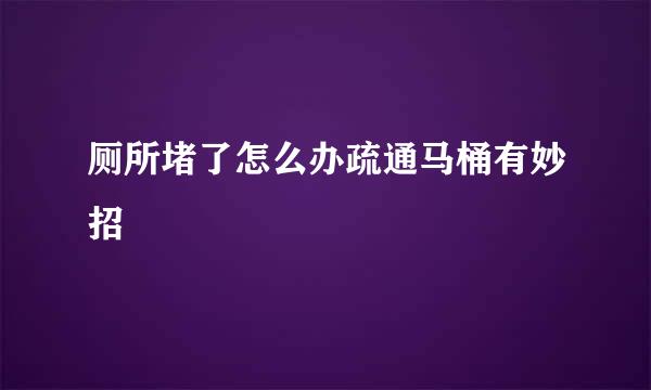 厕所堵了怎么办疏通马桶有妙招