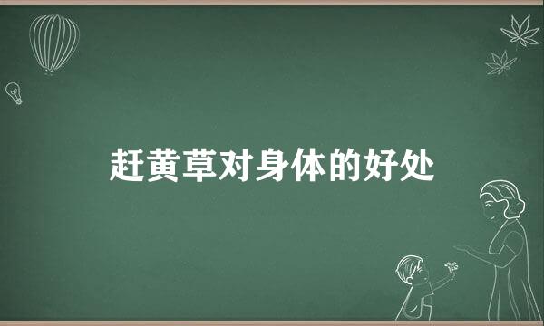 赶黄草对身体的好处