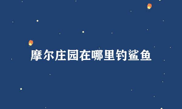 摩尔庄园在哪里钓鲨鱼