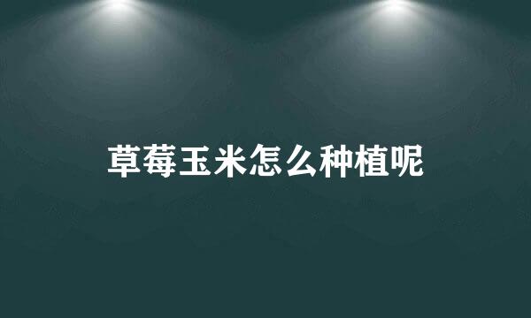 草莓玉米怎么种植呢