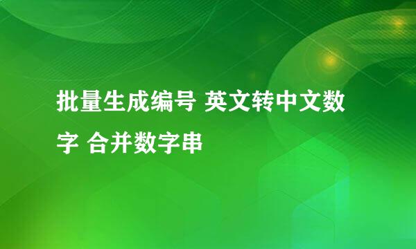 批量生成编号 英文转中文数字 合并数字串