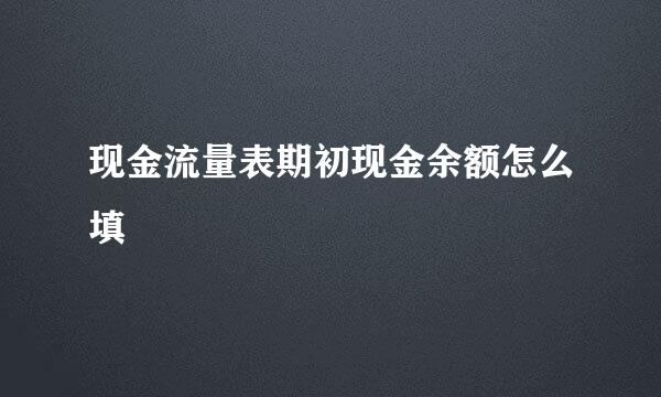 现金流量表期初现金余额怎么填