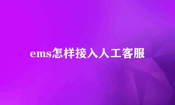 ems怎样接入人工客服