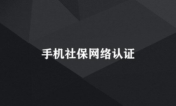 手机社保网络认证
