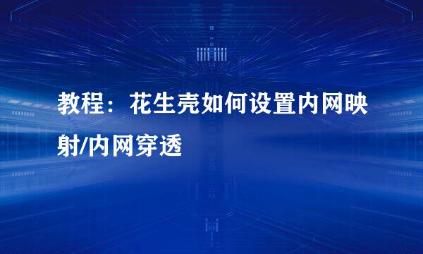教程：花生壳如何设置内网映射/内网穿透