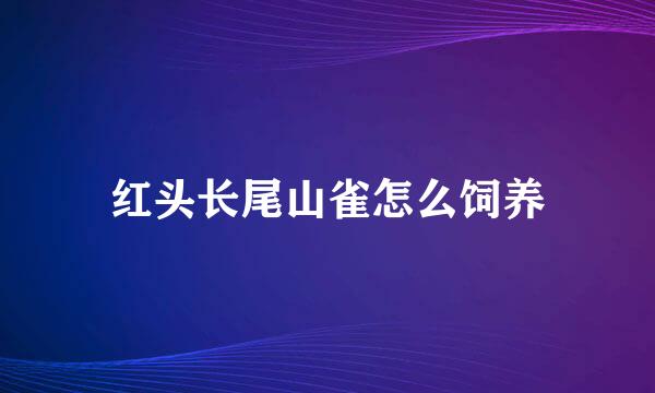 红头长尾山雀怎么饲养