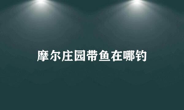 摩尔庄园带鱼在哪钓