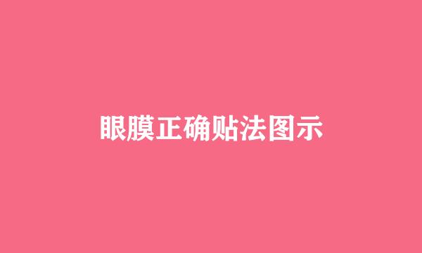 眼膜正确贴法图示