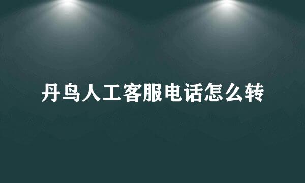 丹鸟人工客服电话怎么转
