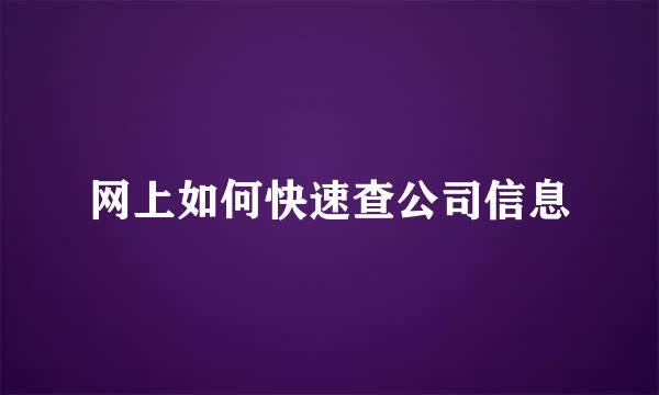 网上如何快速查公司信息