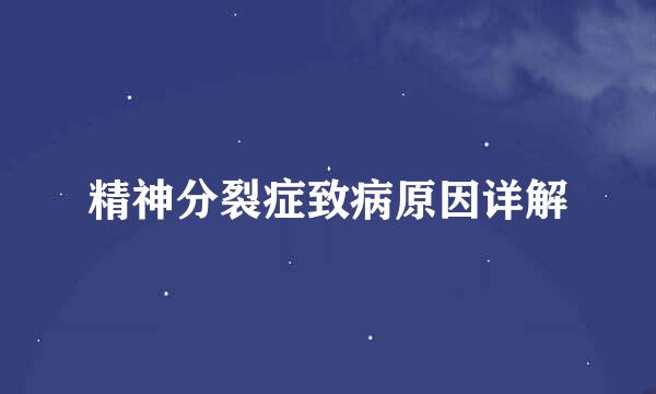 精神分裂症致病原因详解
