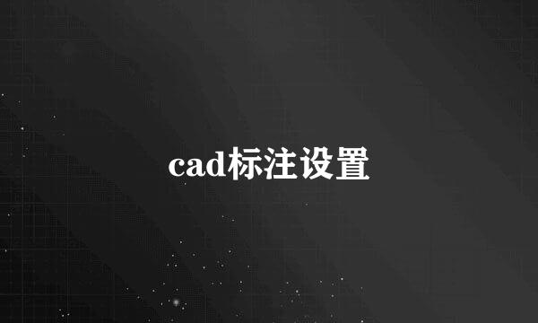 cad标注设置