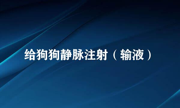 给狗狗静脉注射（输液）